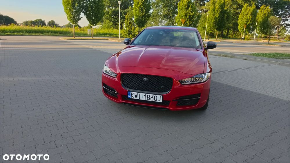 Jaguar XE - 38