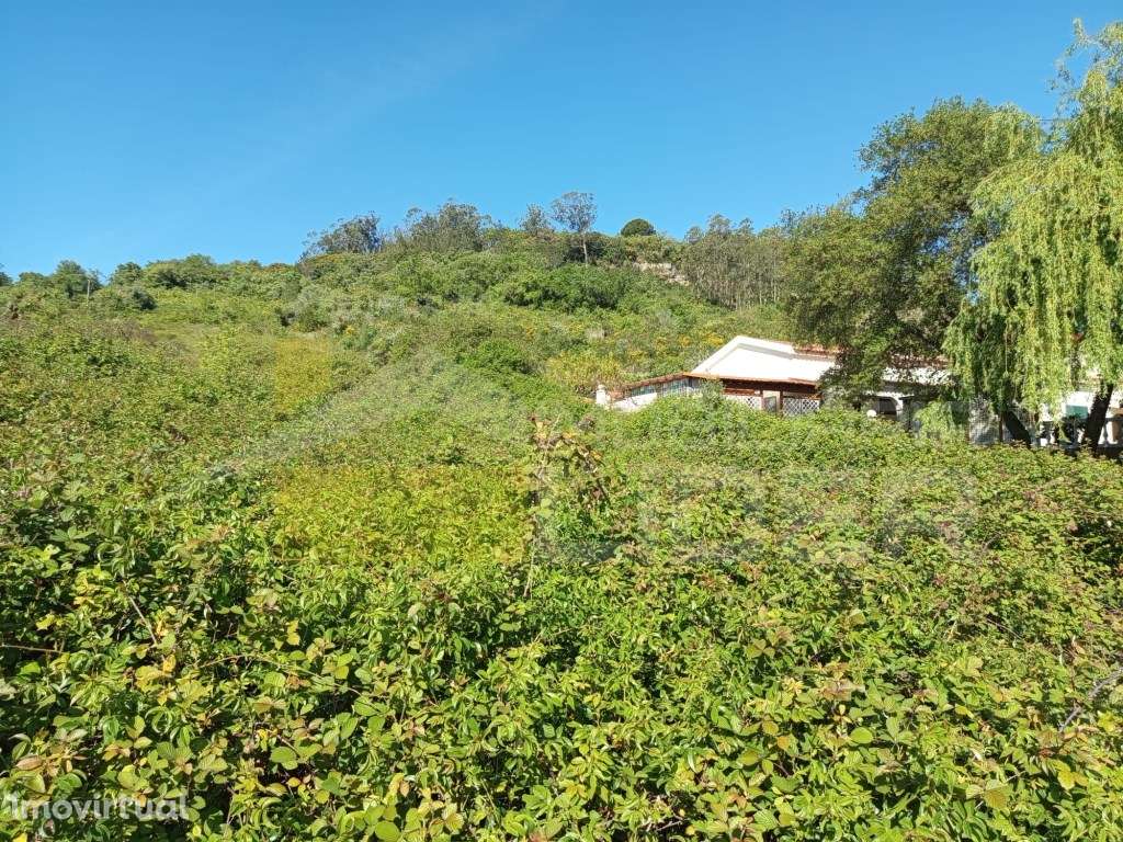 Terreno Misto com 11200mº em Giesteira na Arruda dos Vinhos - Grande imagem: 3/7