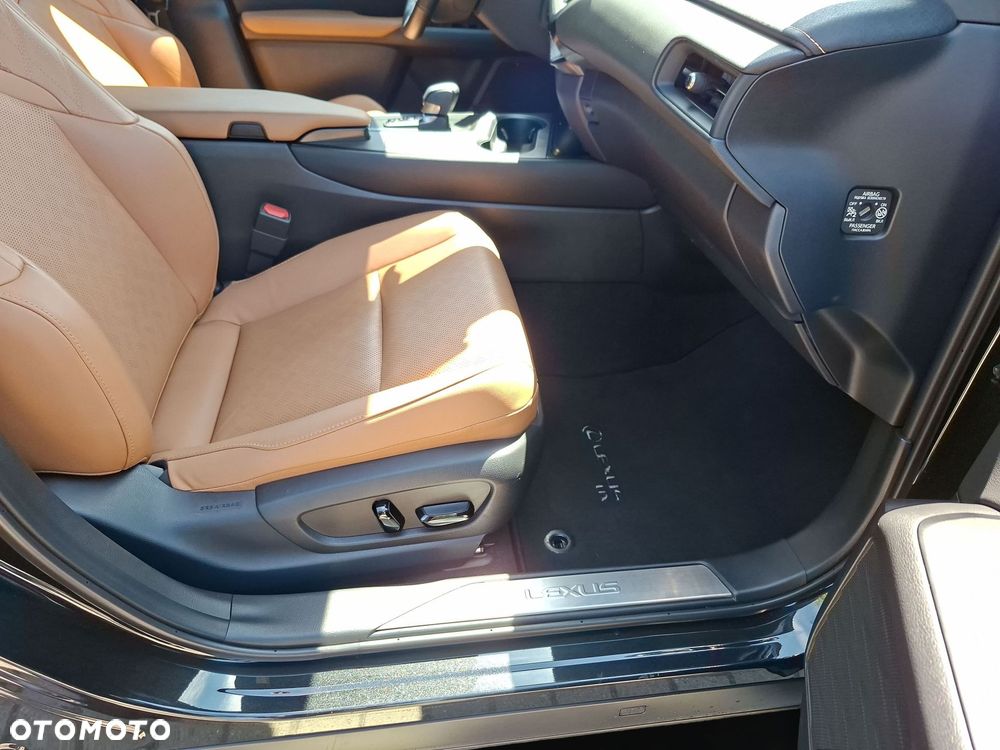 Lexus UX - 19