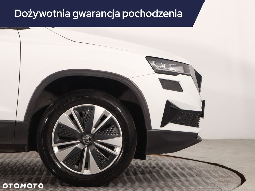 Skoda Karoq - 17