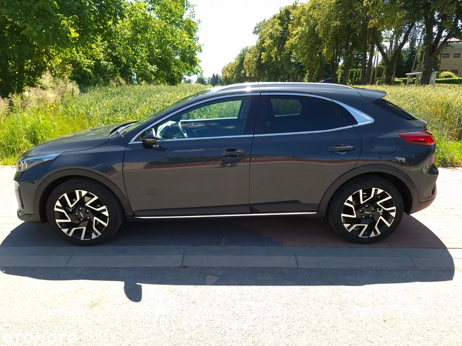 Kia XCeed 1.6 T-GDI Business Line DCT - 3