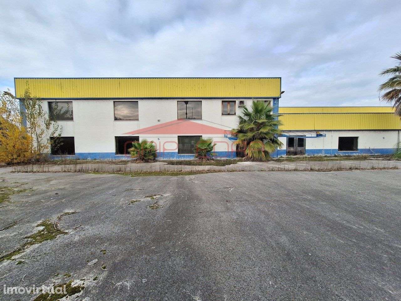 Armazém para comércio ou indústria zona atividades Chamusca Santarém - Grande imagem: 2/40
