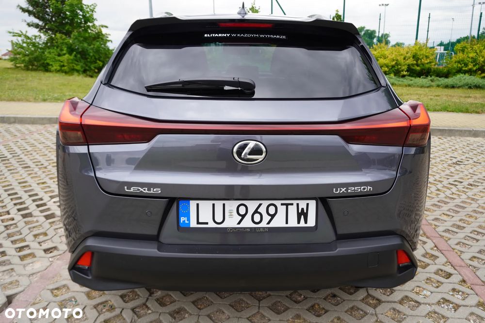 Lexus UX 250h GPF Business Edition 2WD - 15