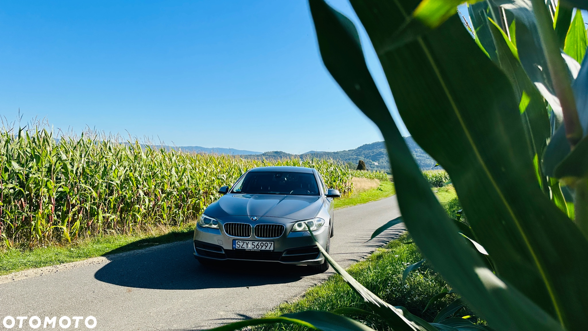 BMW Seria 5 520d xDrive Luxury Line - 2