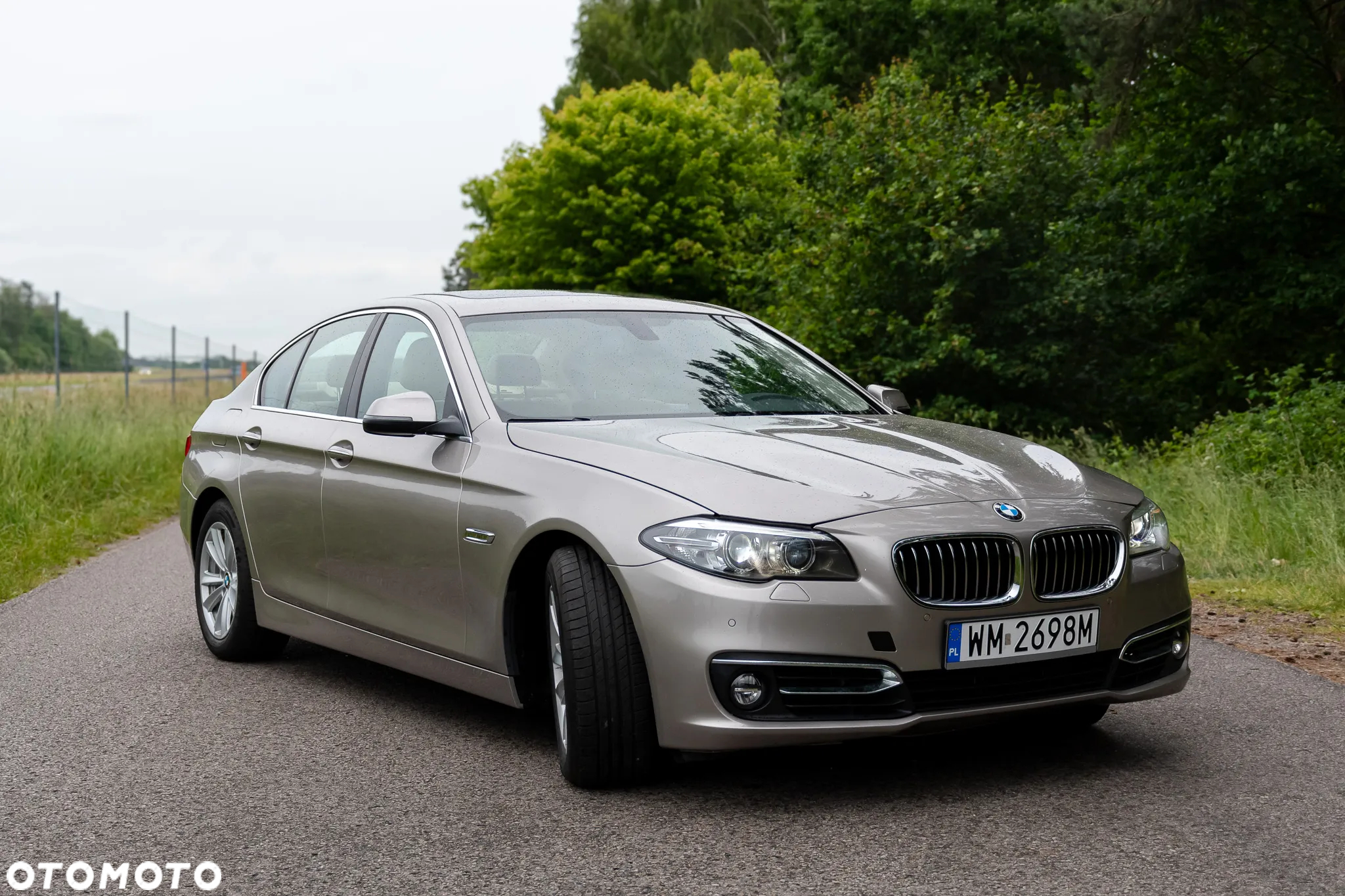 BMW Seria 5 528i Luxury Line - 8