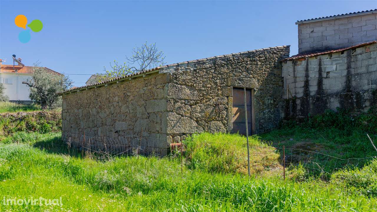 Quintinha com 3 casas - Grande imagem: 4/34