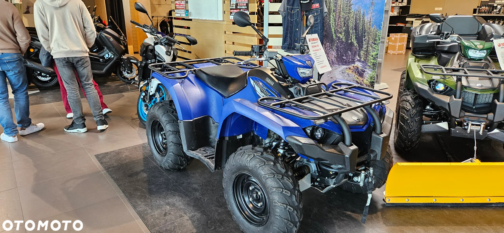 Yamaha Kodiak