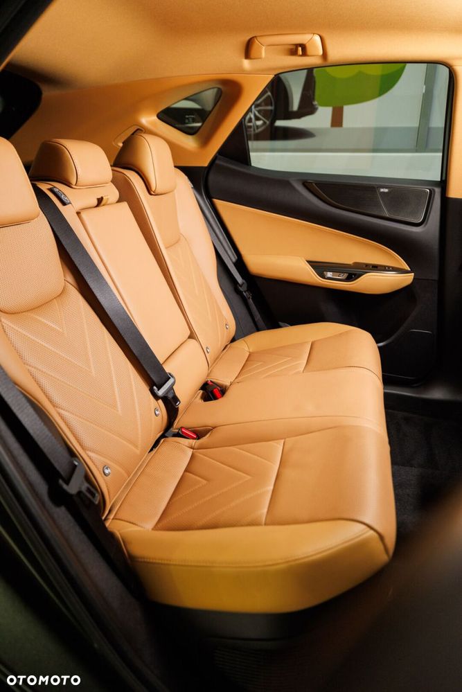 Lexus NX 350h Omotenashi AWD - 19