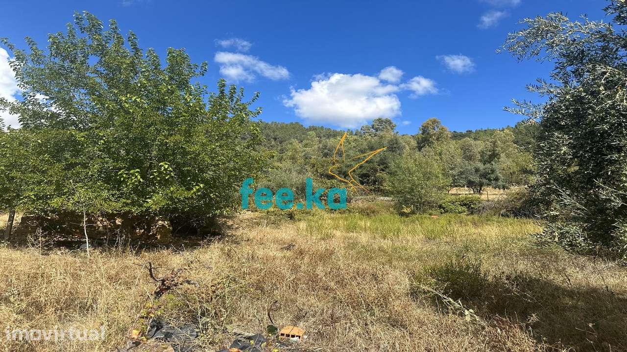 Terreno em Monfortinho - Grande imagem: 2/15