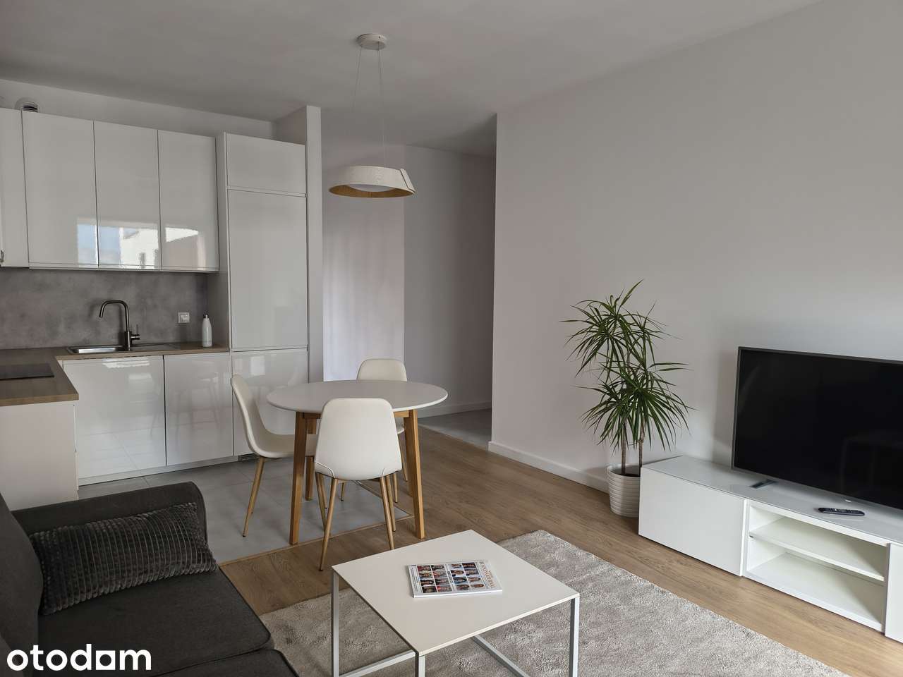 Holm House, ul. Zdziechowskiego, 5 piętro, 48 metrów, bezpośrednio