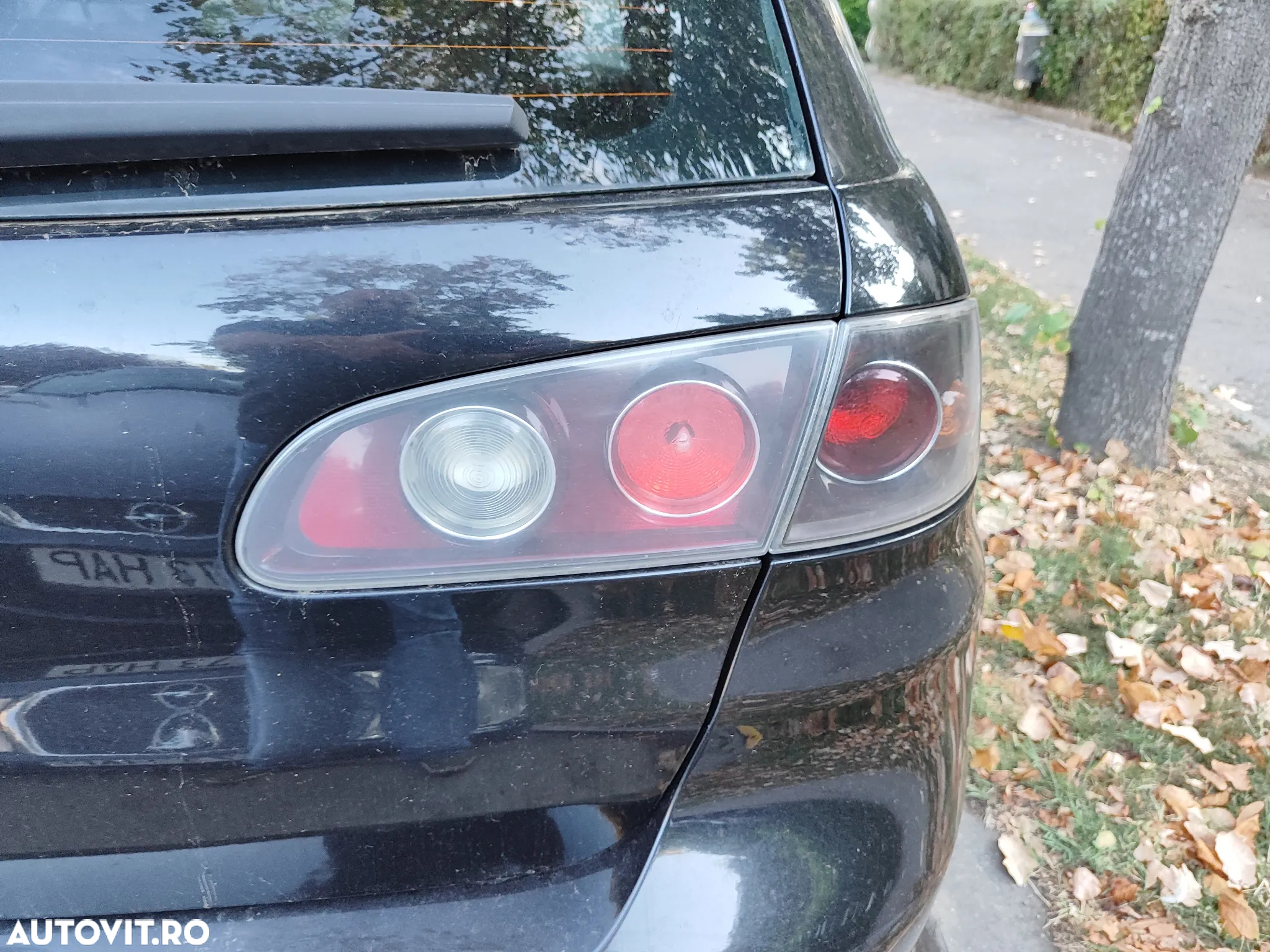 Seat Ibiza - 20