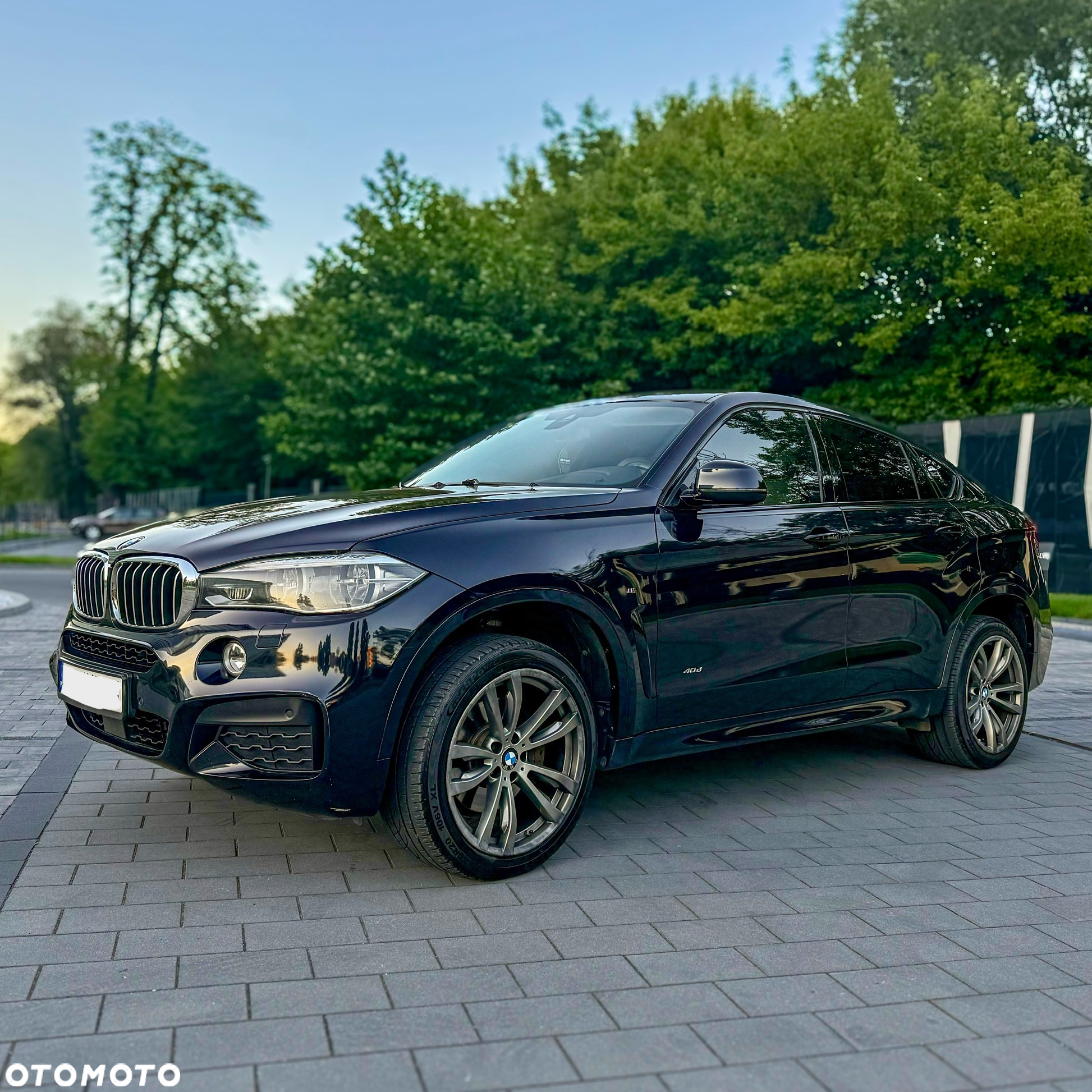 BMW X6 xDrive40d - 9