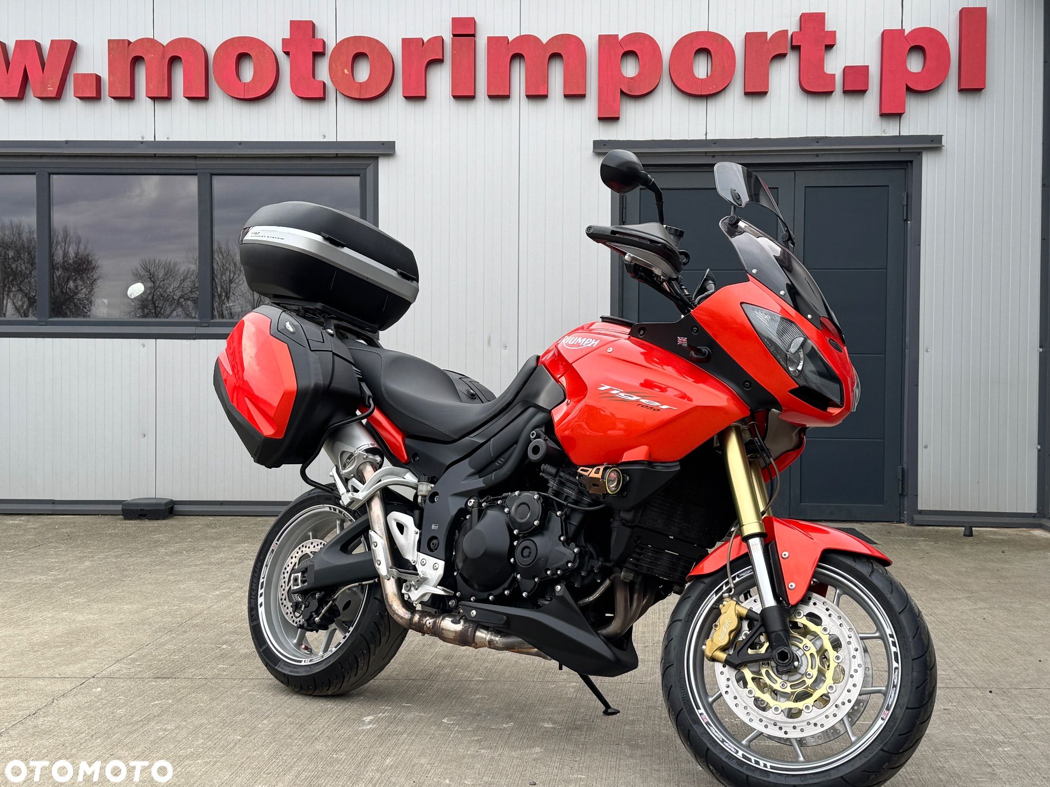 Triumph Tiger - 1
