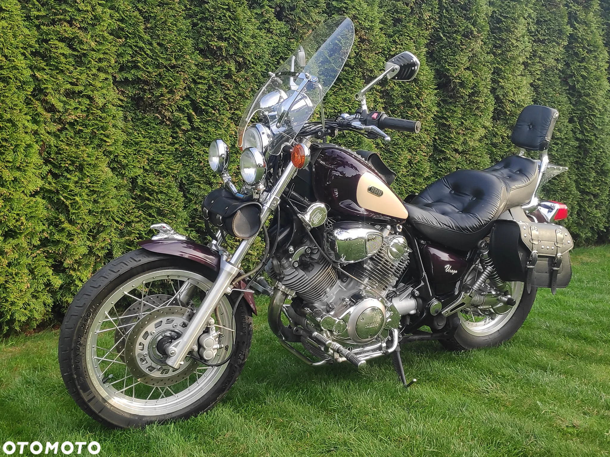 Yamaha Virago - 24