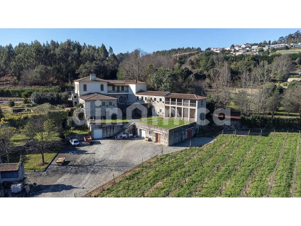 Fantástica Quinta em Famalicão - Grande imagem: 2/21