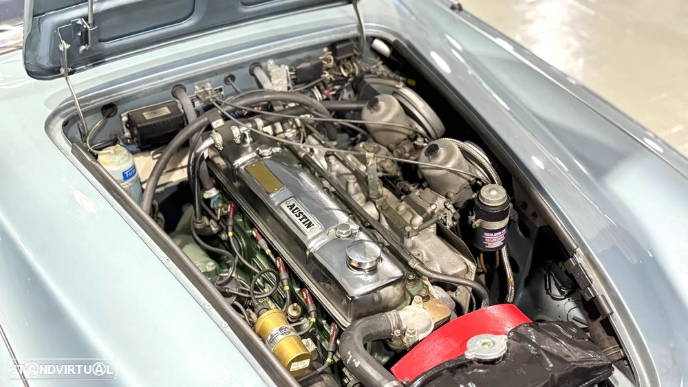 Austin Healey 3000 — fotografia 36