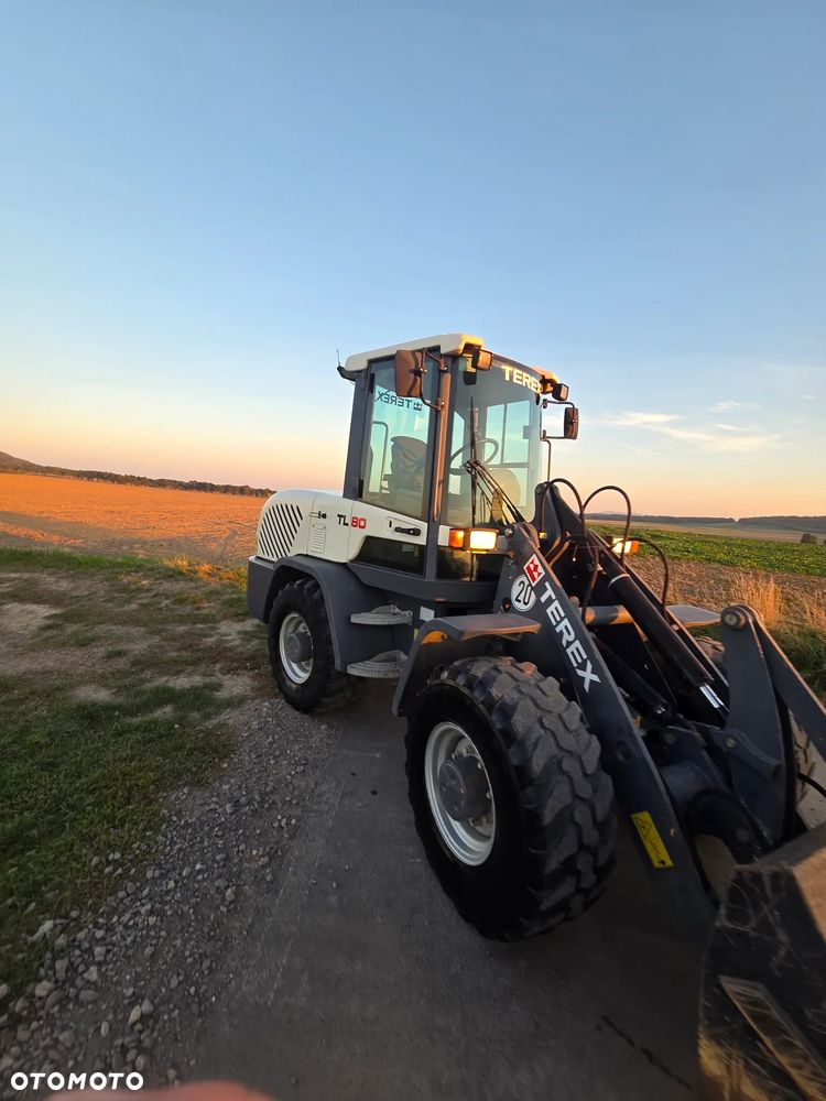 Terex TL80 TL65 TL100 - 1