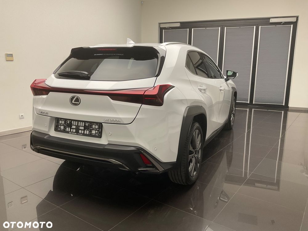 Lexus UX 300h F Sport Design - 10