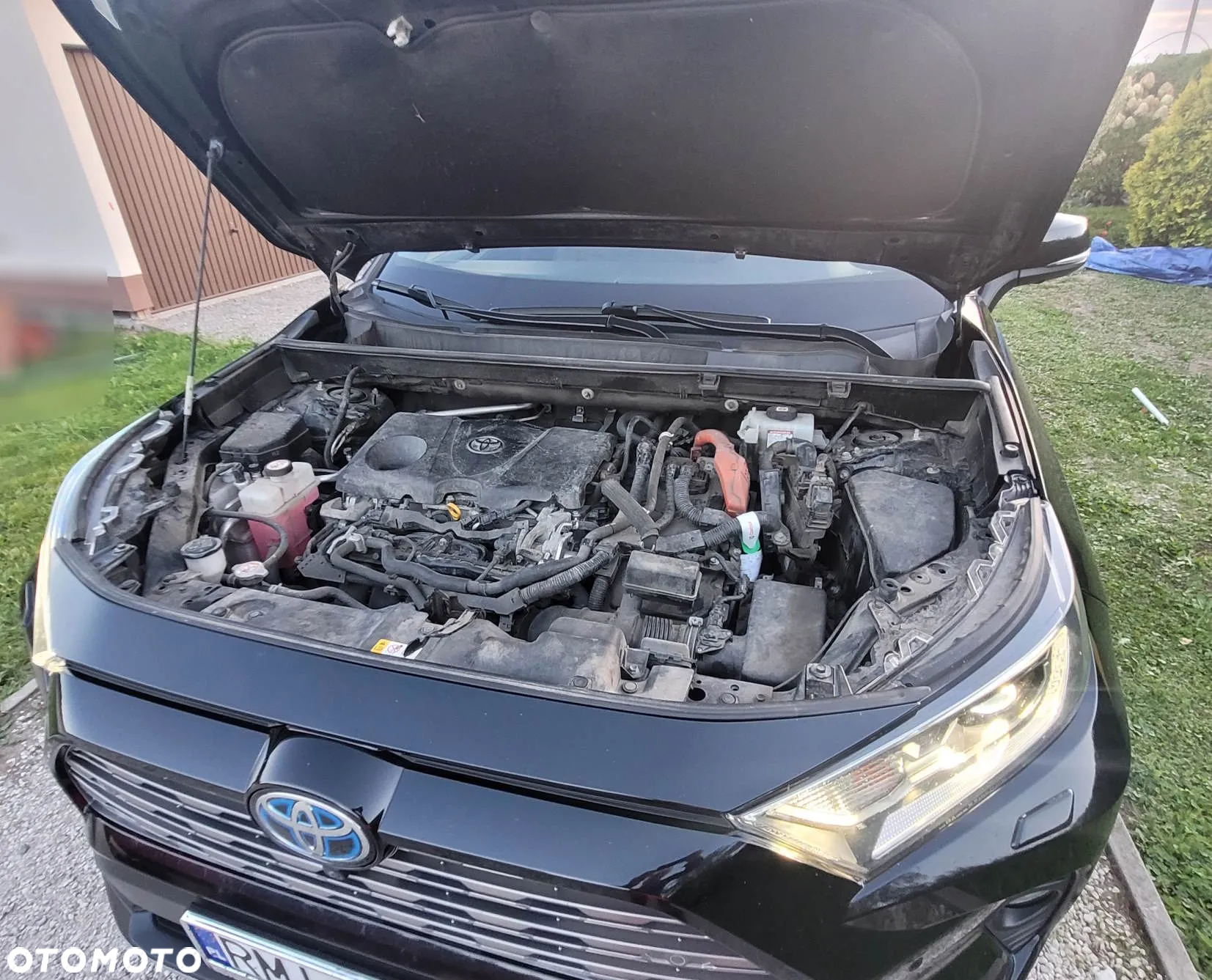 Toyota RAV4 2.5 Hybrid Executive 4x4 - 23