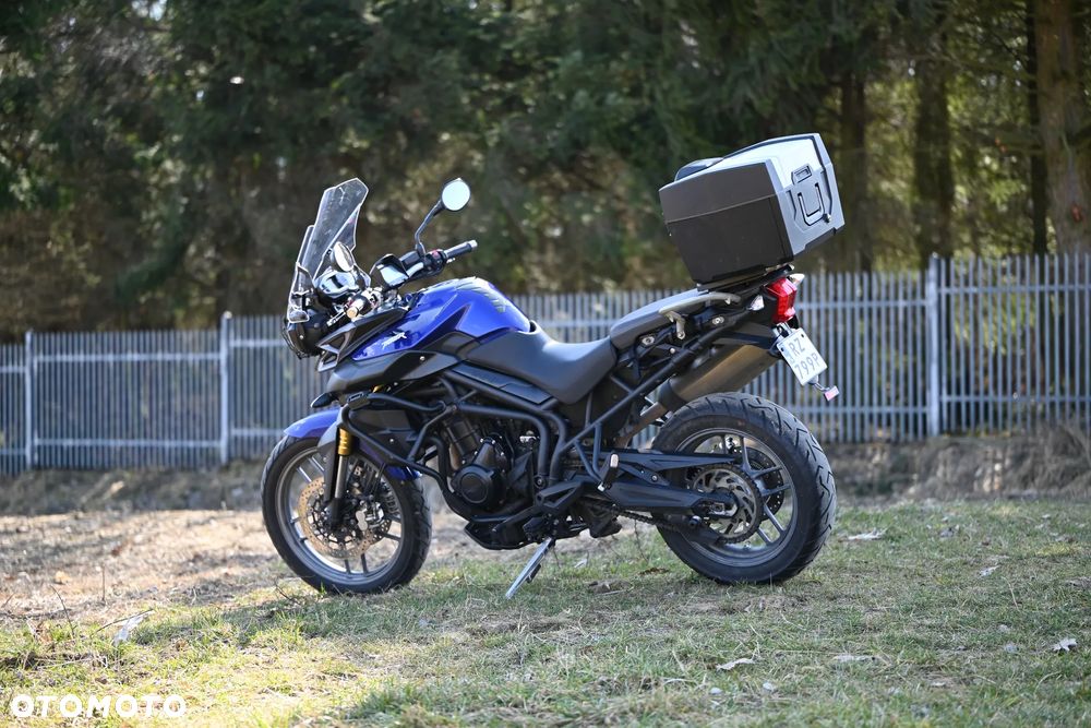 Triumph Tiger - 3