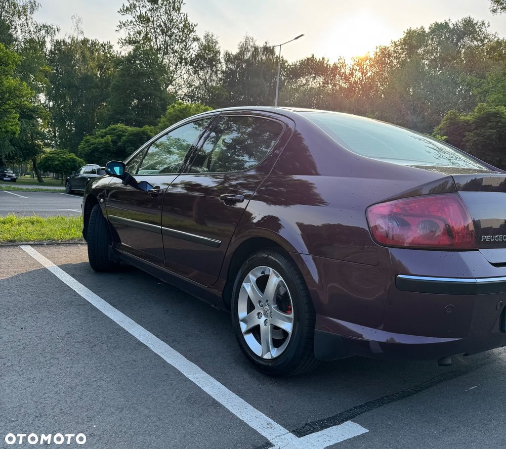 Peugeot 407 - 7