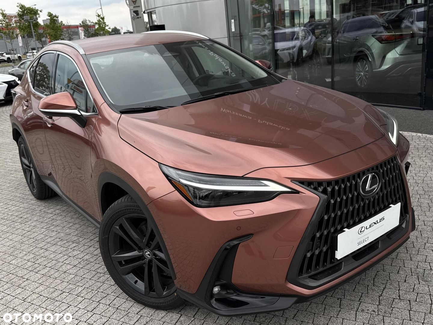 Lexus NX - 30