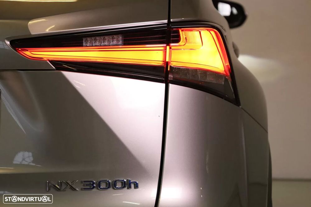 Lexus NX 300h - 21