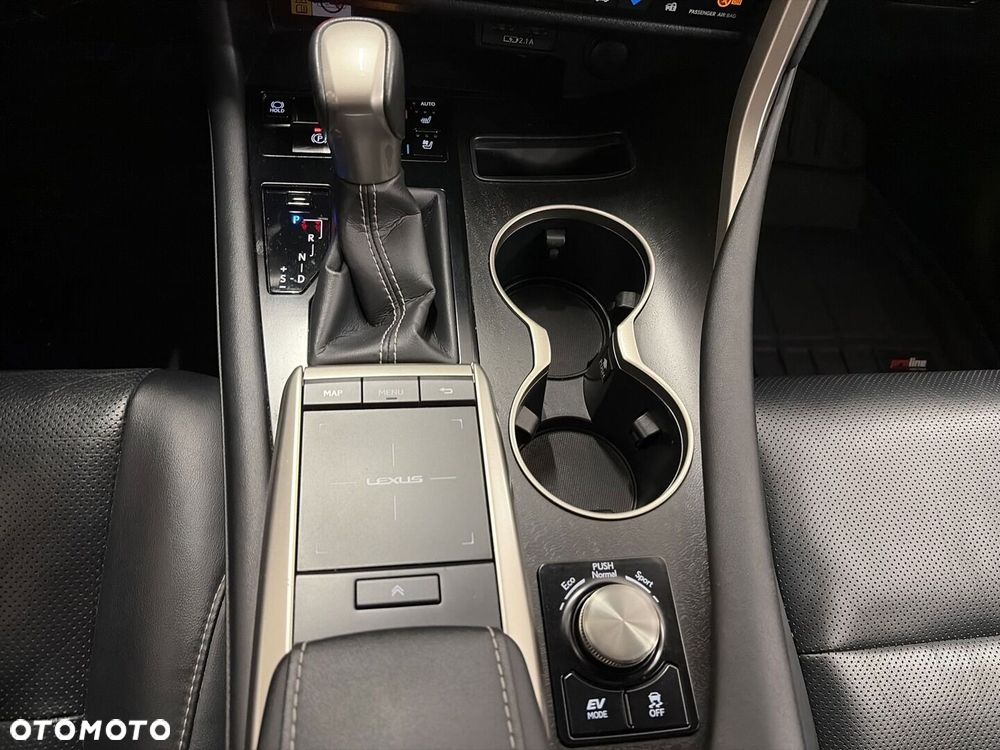 Lexus RX 450h F-Impression - 20