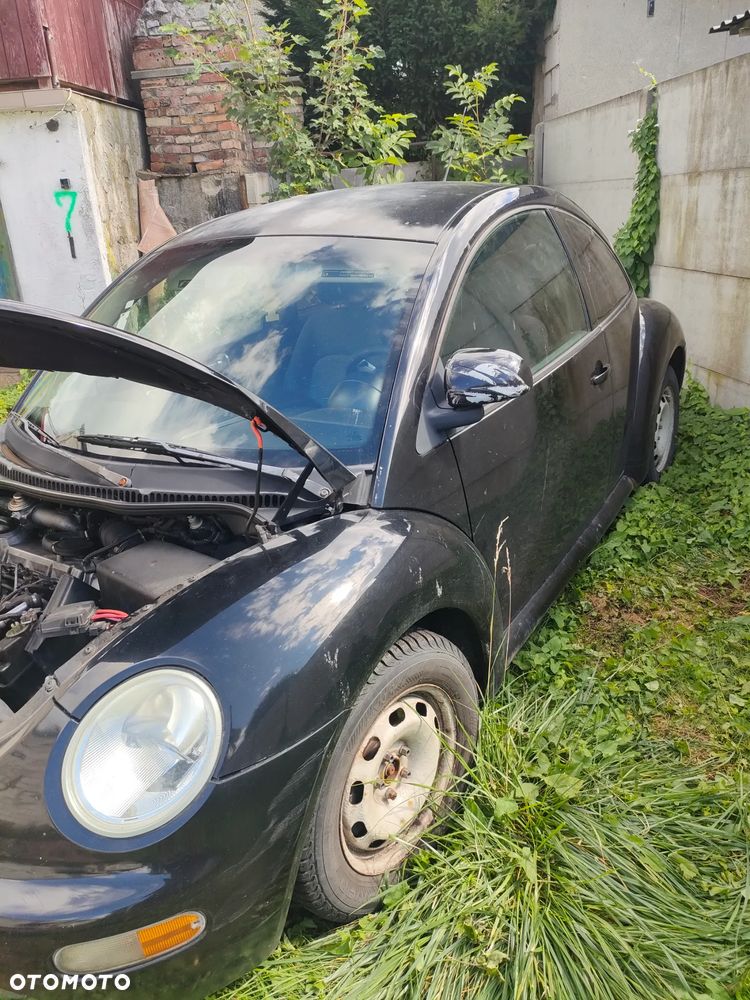 Volkswagen Beetle - 3