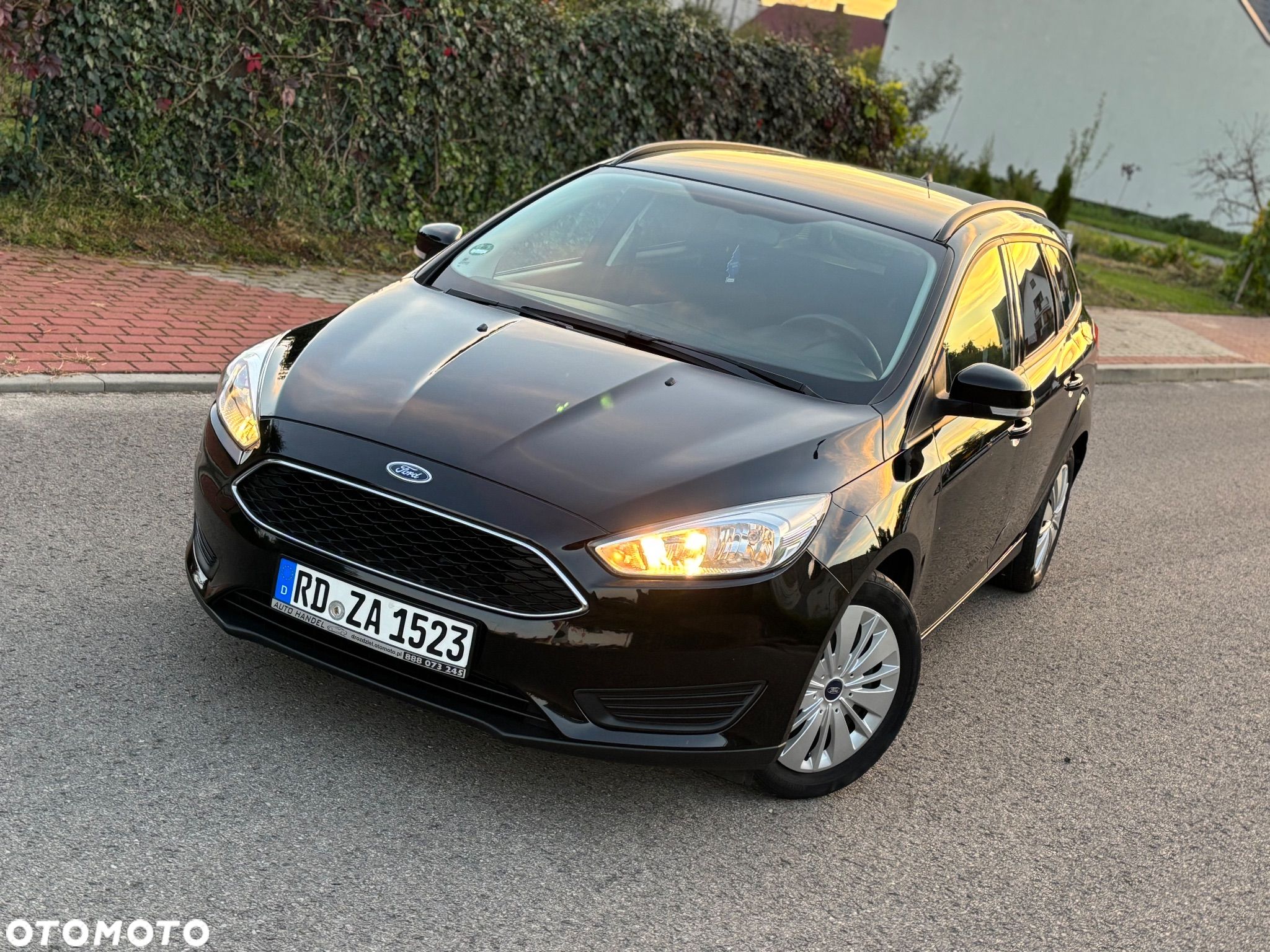 Ford Focus - 1
