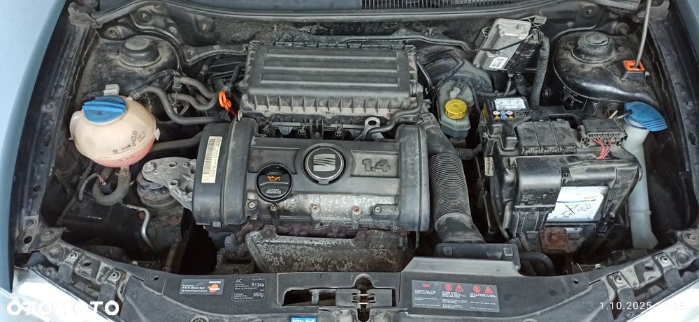 Seat Ibiza - 19