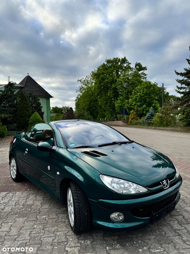 Peugeot 206 - 20