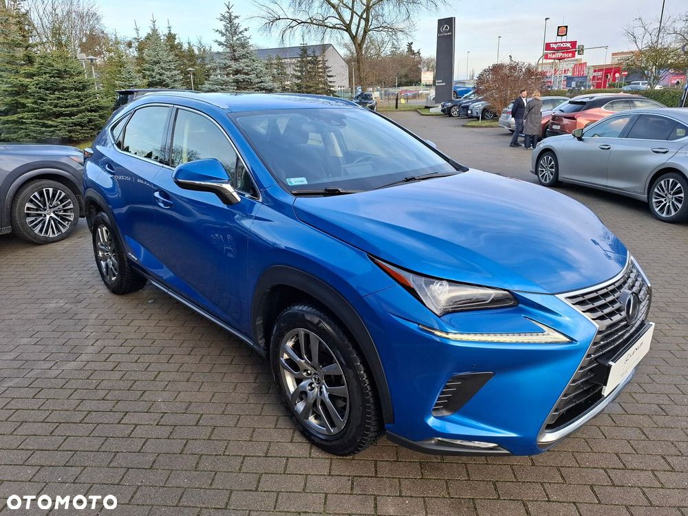 Lexus NX 300h Optimum AWD - 7