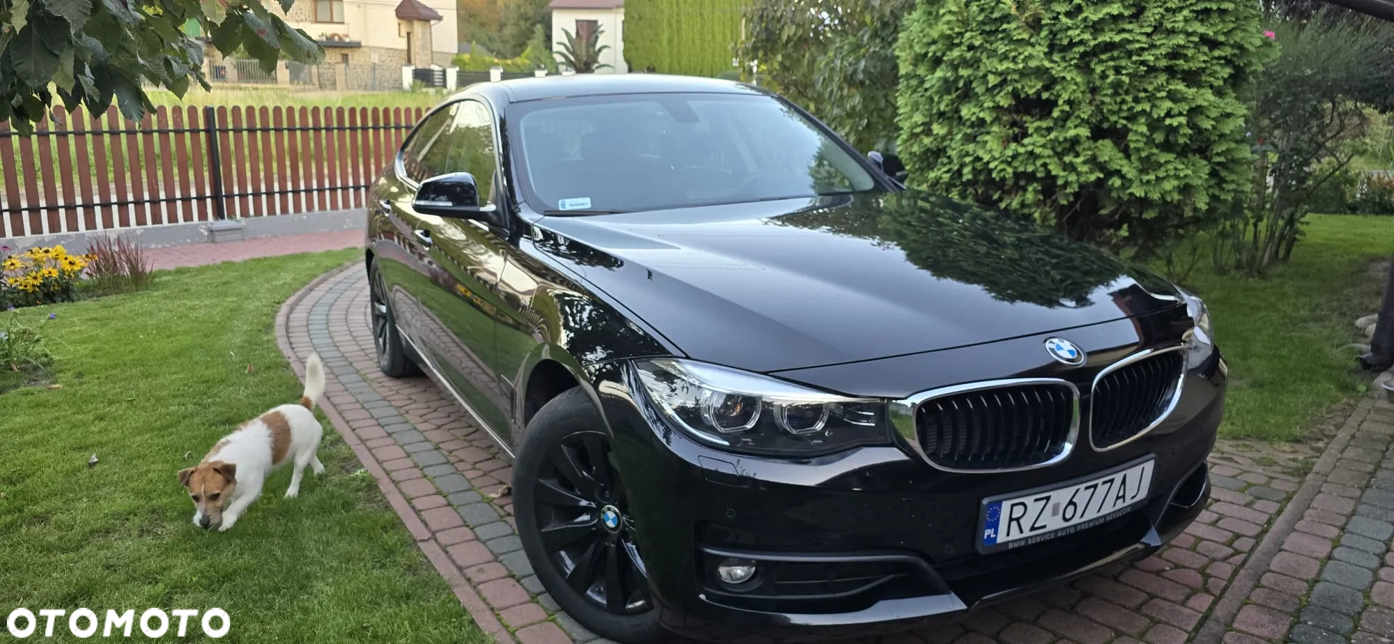 BMW Seria 3 320d xDrive - 4