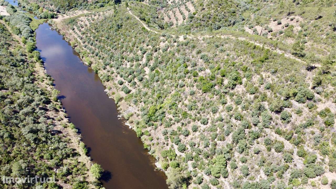 Terreno Rústico  Venda em Sarzedas,Castelo Branco - Grande imagem: 4/8