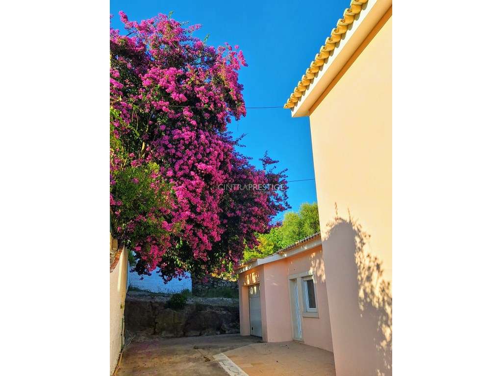 ENCANTADORA MORADIA ISOLADA, EM CABRIZ, SINTRA - Grande imagem: 4/31