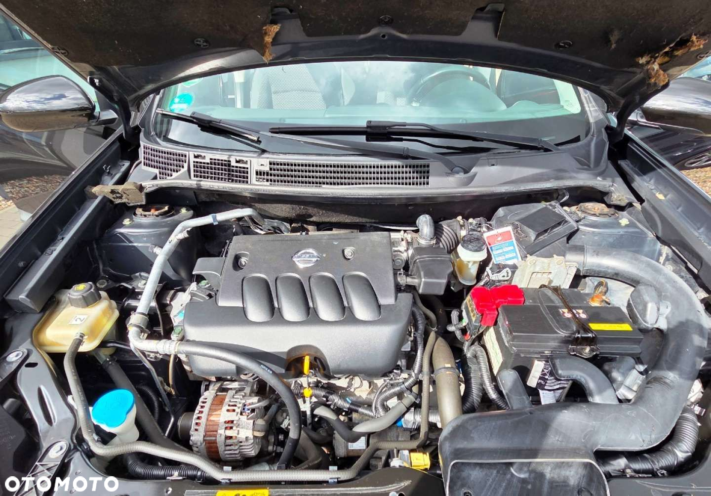 Nissan Qashqai+2 - 19