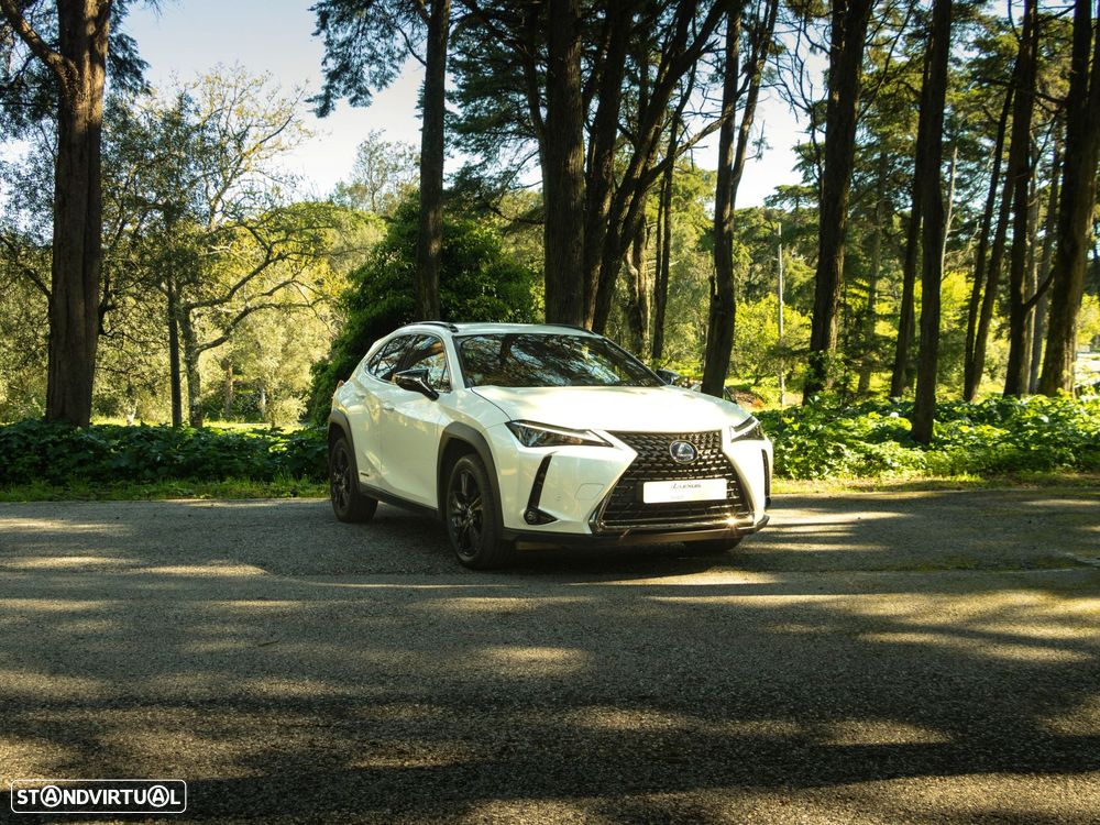 Lexus UX 250h Special Edition (LCA) - 6