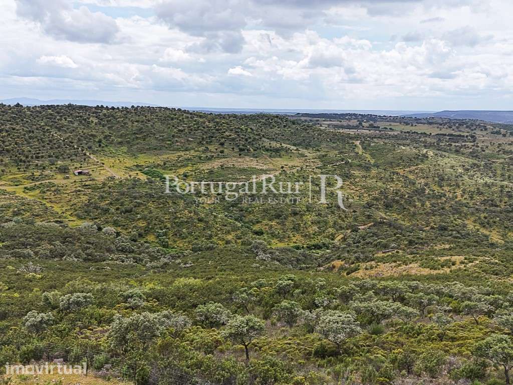 Herdade com 148 ha de Potencial Produtivo em Idanha-a-Nova - Grande imagem: 4/39