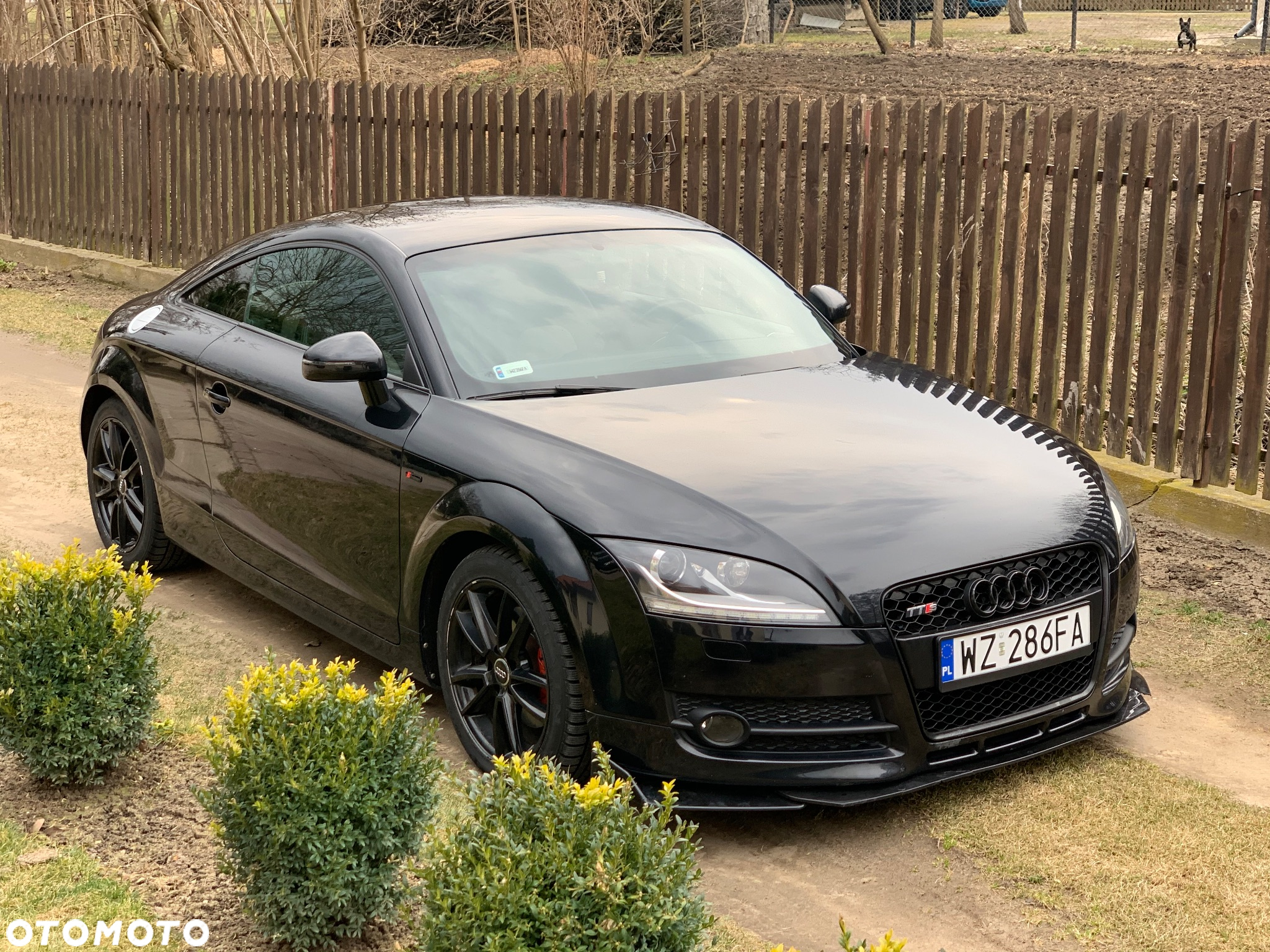 Audi TT Coupé Coupe 2.0 TFSI S tronic - 8