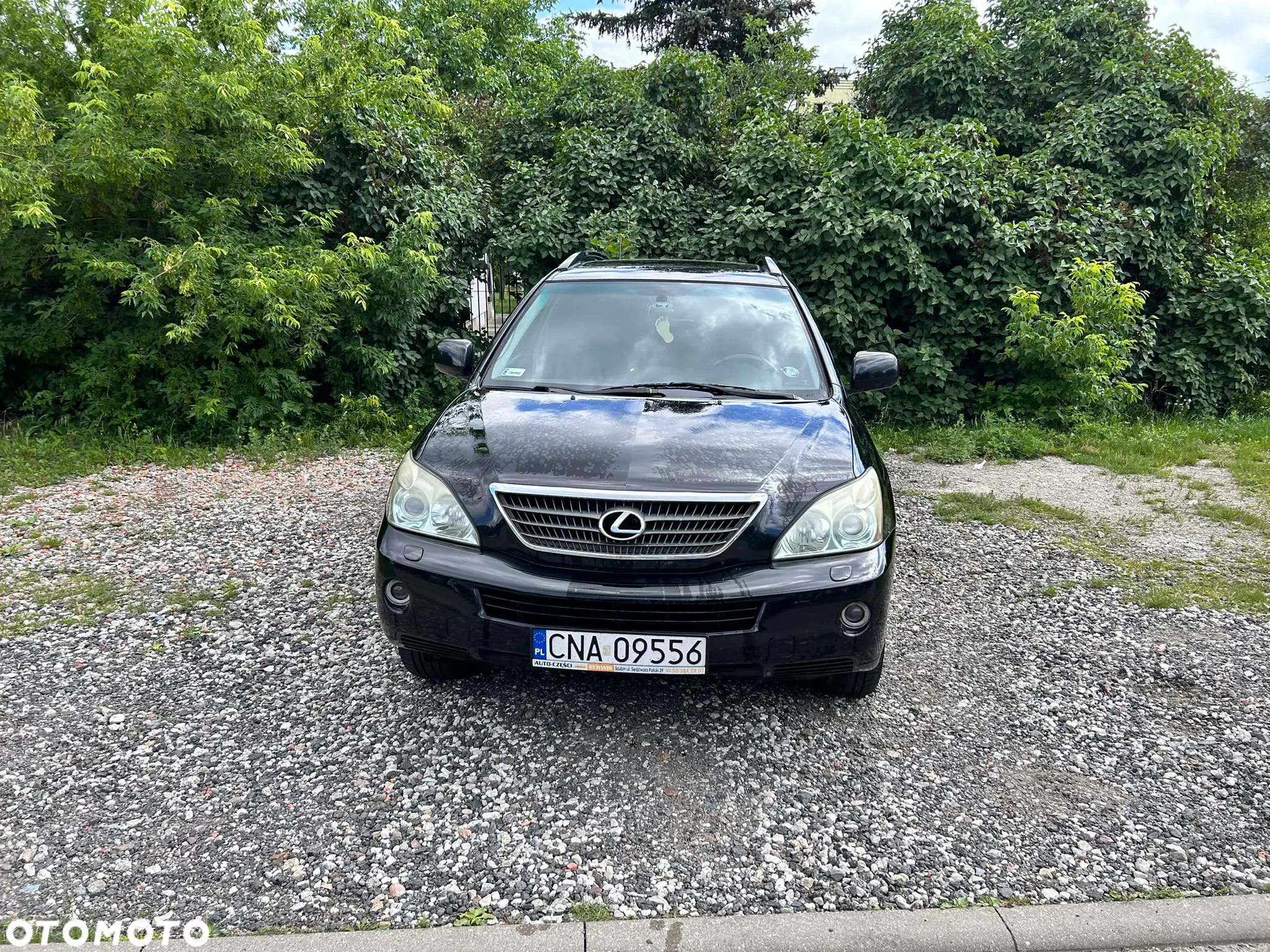 Lexus RX - 22