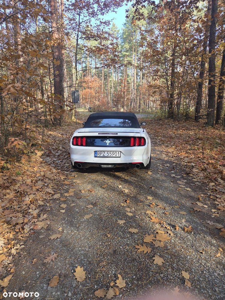 Ford Mustang 3.7 V6 - 3
