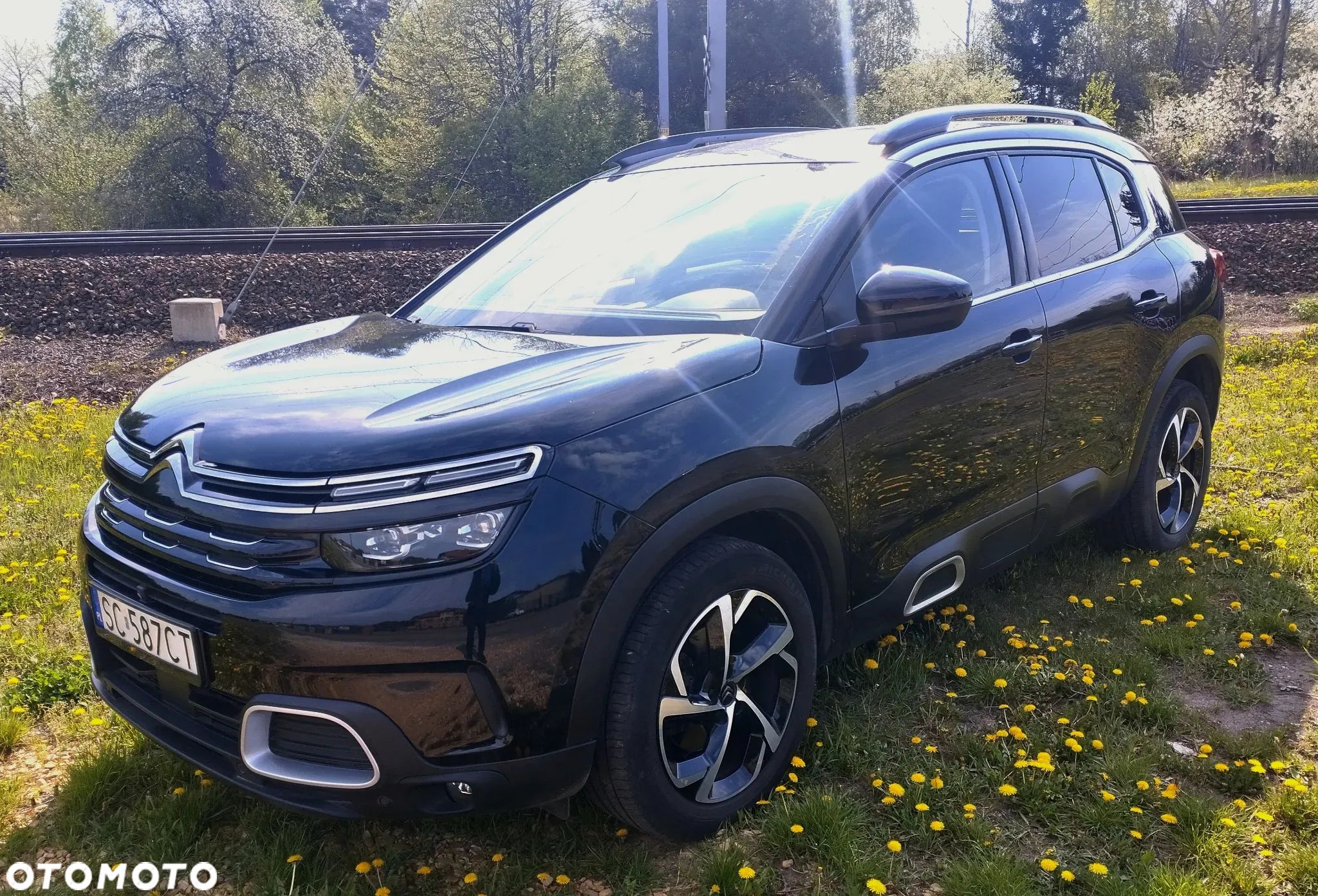 Citroën C5 Aircross BlueHDI 180 S&S EAT8 SHINE PACK - 1