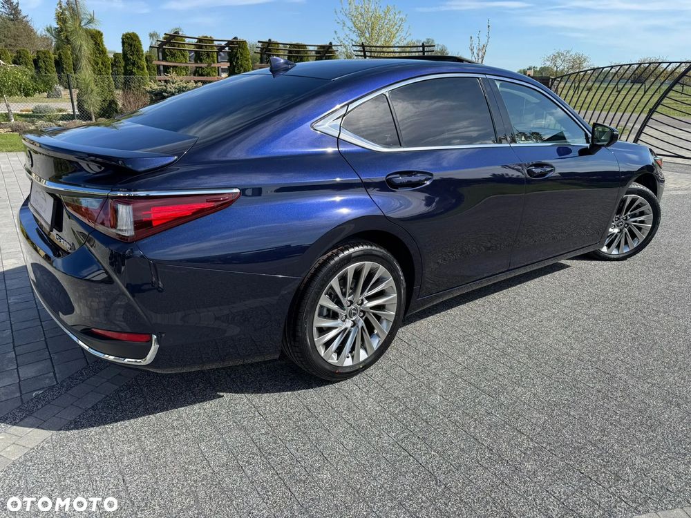 Lexus ES 300h Omotenashi - 3