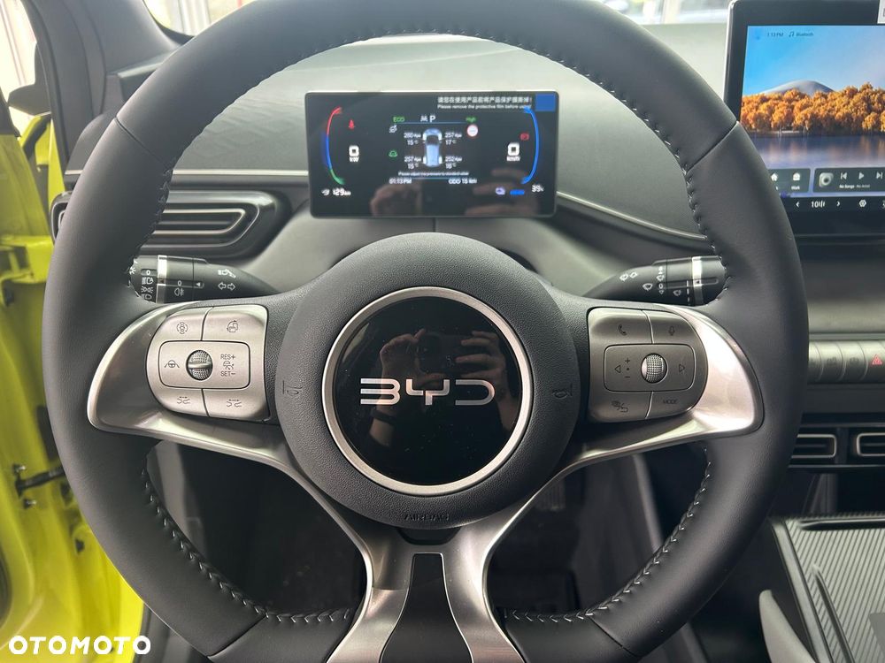 BYD Dolphin Surf - 10