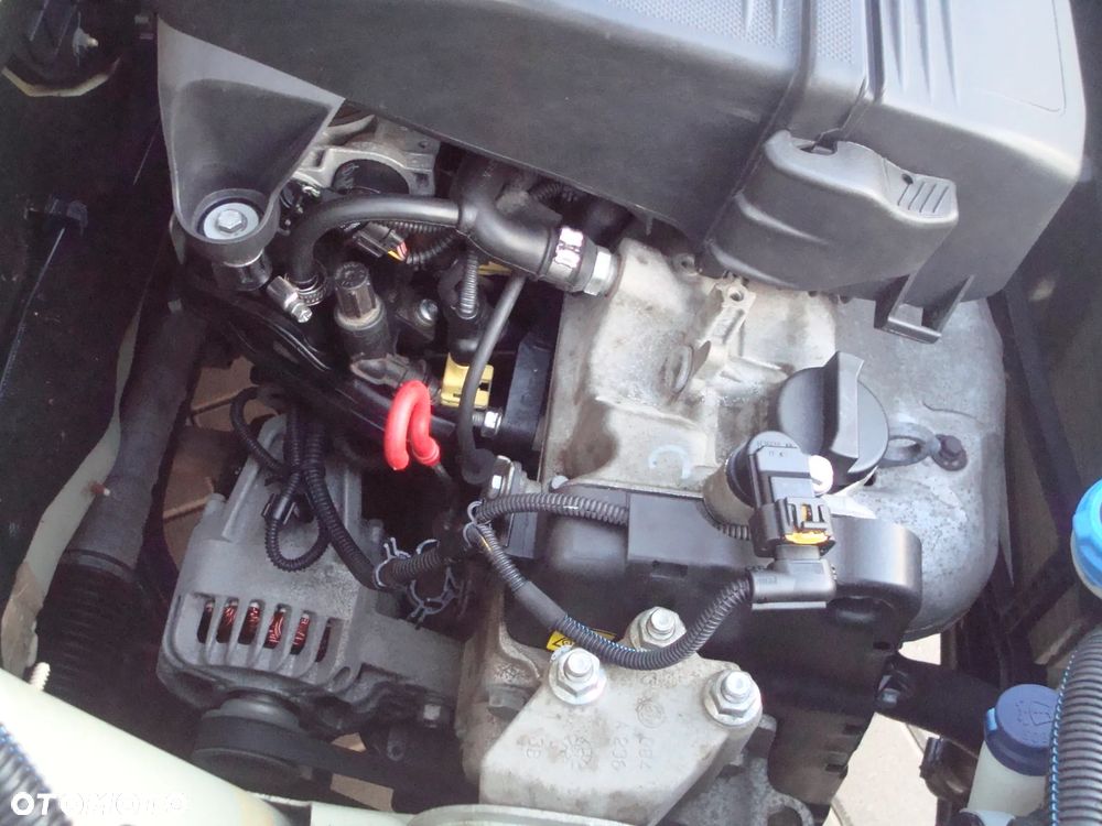 Fiat Panda 1.2 Alessi - 23
