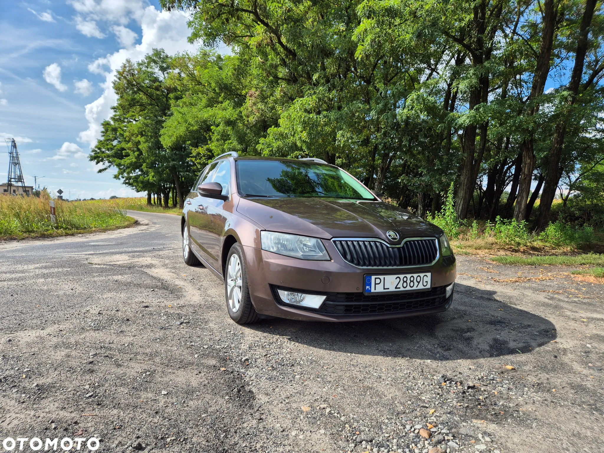 Skoda Octavia - 4