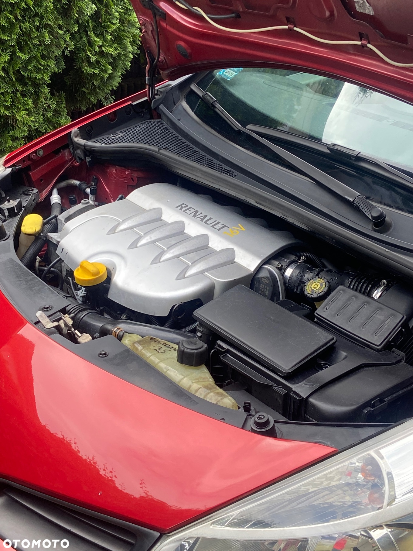 Renault Clio - 4