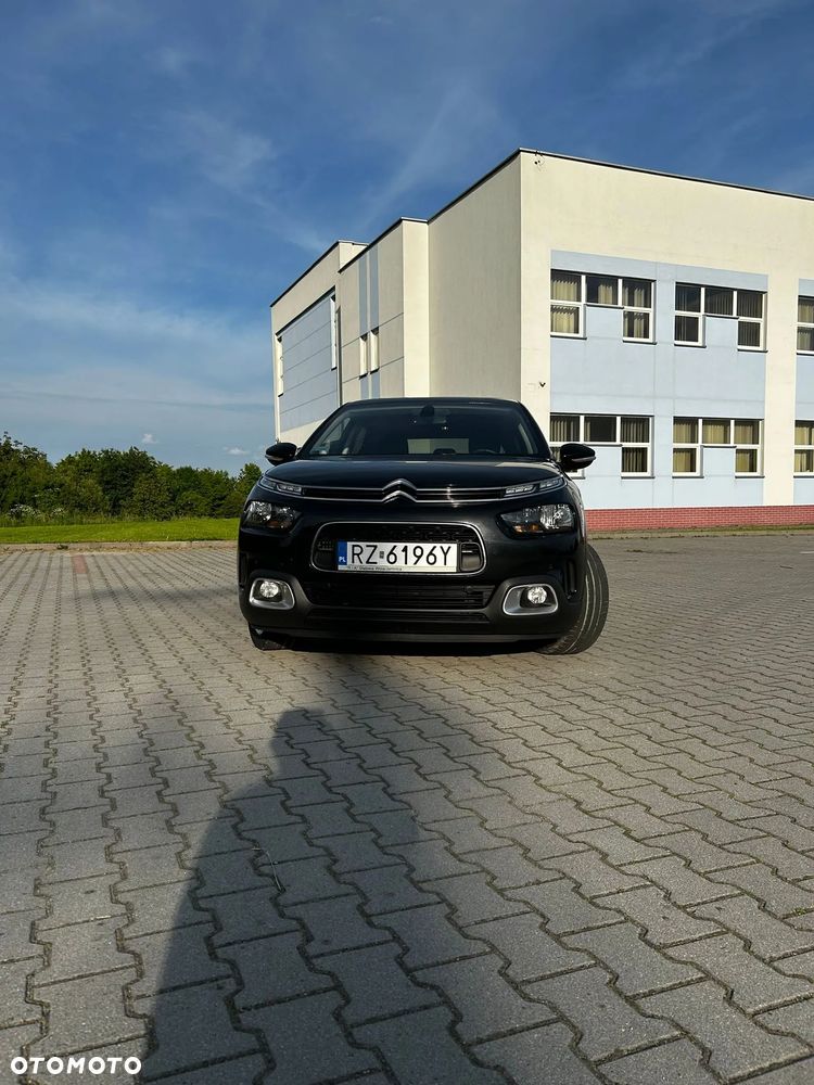 Citroën C4 Cactus 1.2 PureTech Shine S&S EAT6 - 10