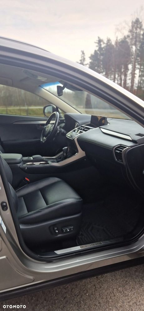 Lexus NX 300 Comfort AWD - 9